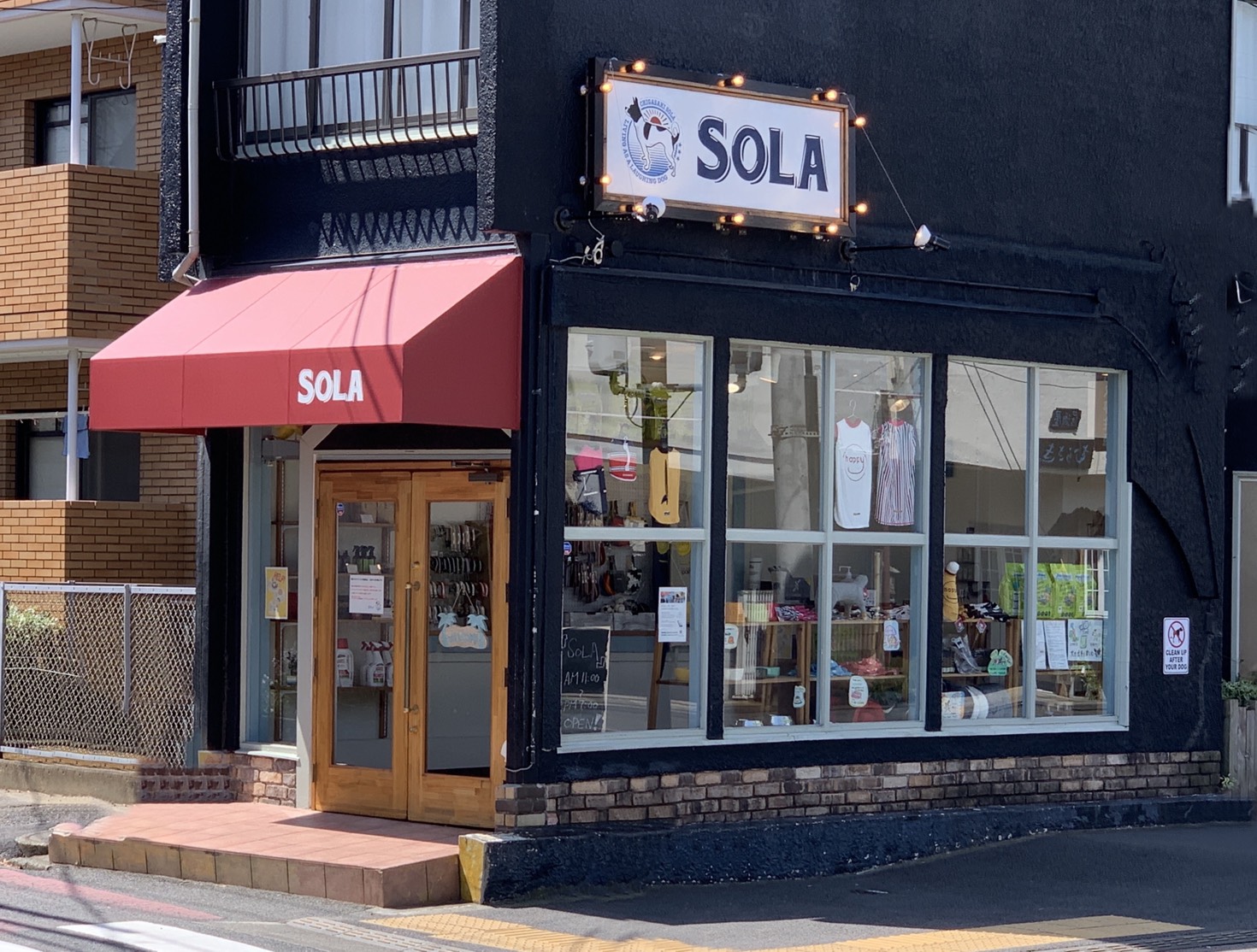 湘南 茅ヶ崎の犬のペットグッズ ドッグフード専門店 Sola そら